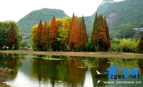 梦幻般的花溪湿地公园