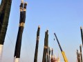 合肥蜀山区亿元购百棵古树打造精品园林惹市民生厌